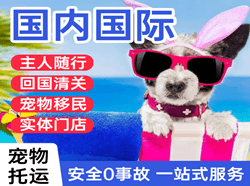 西昌青山机场快递国际宠物托运 【国